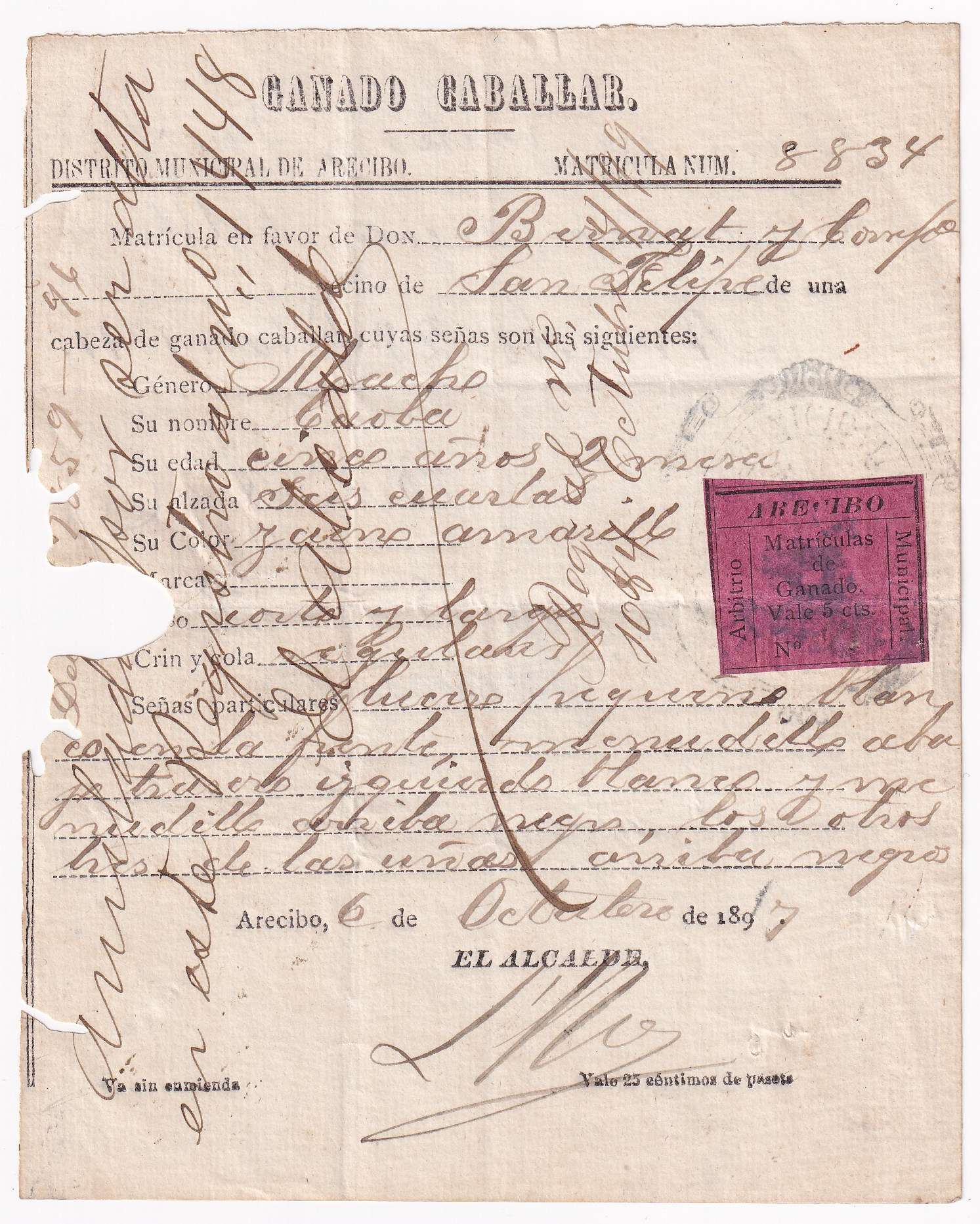 Puerto Rico 1897 — Revenues